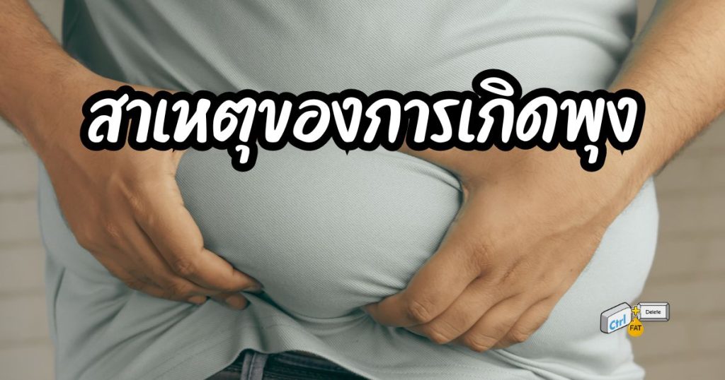 สาเหตุของการเกิดพุงไขมันส่วนเกินที่หน้าท้อง