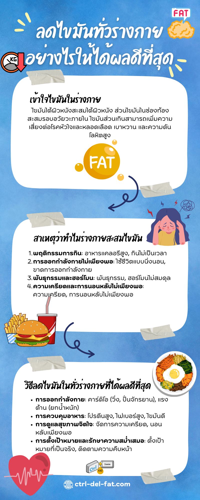 อินโฟกราฟฟิกวิธีการลดไขมันทั่วร่างกายที่ดีที่สุด